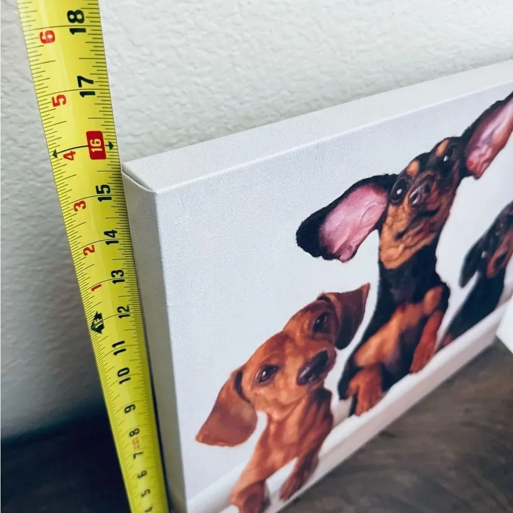 Cute Funny Dachshund Dogs Trio Canvas Wall Art Portrait